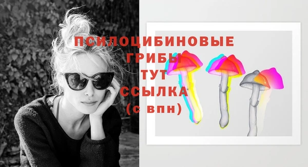ешки Сосновый Бор