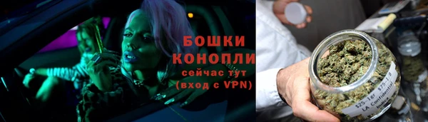 тгк Богородицк