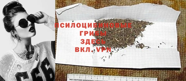 амф Снежинск