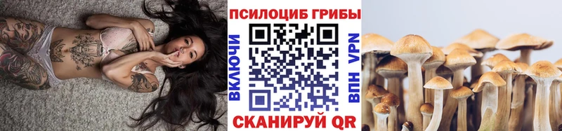 Галлюциногенные грибы Cubensis  Надым 
