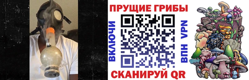 Псилоцибиновые грибы Psilocybine cubensis Надым